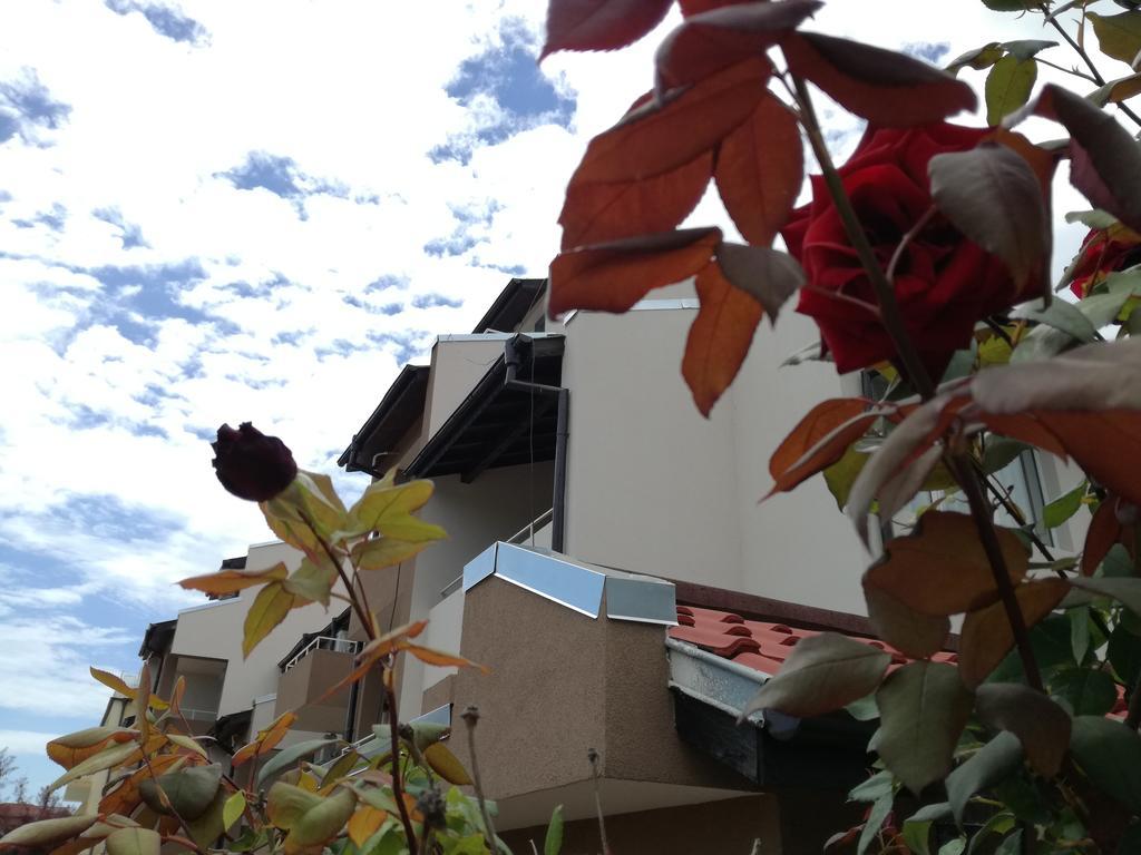 Hotel Siana House Ravda Exteriér fotografie